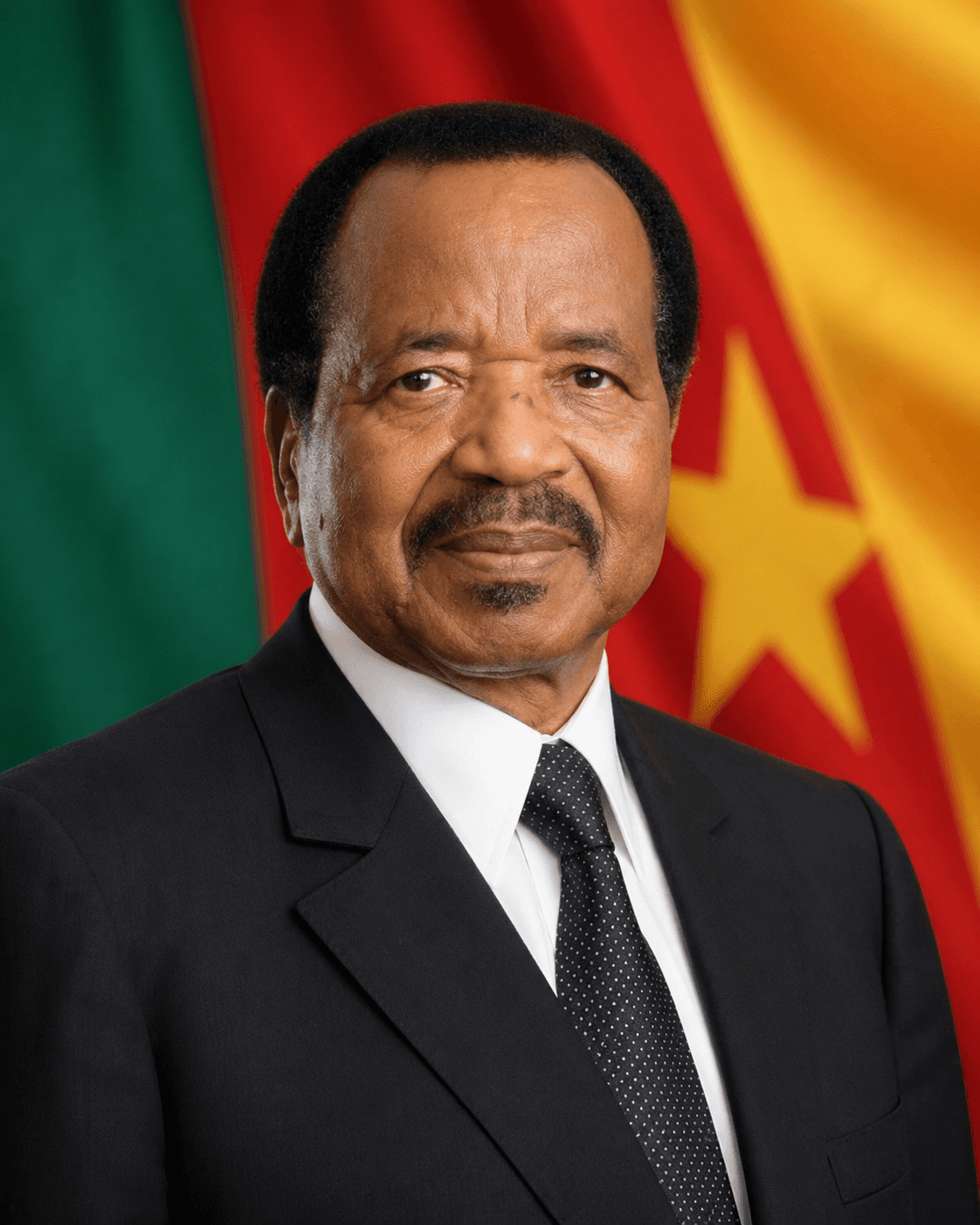 Portrait officiel du Président Paul Biya